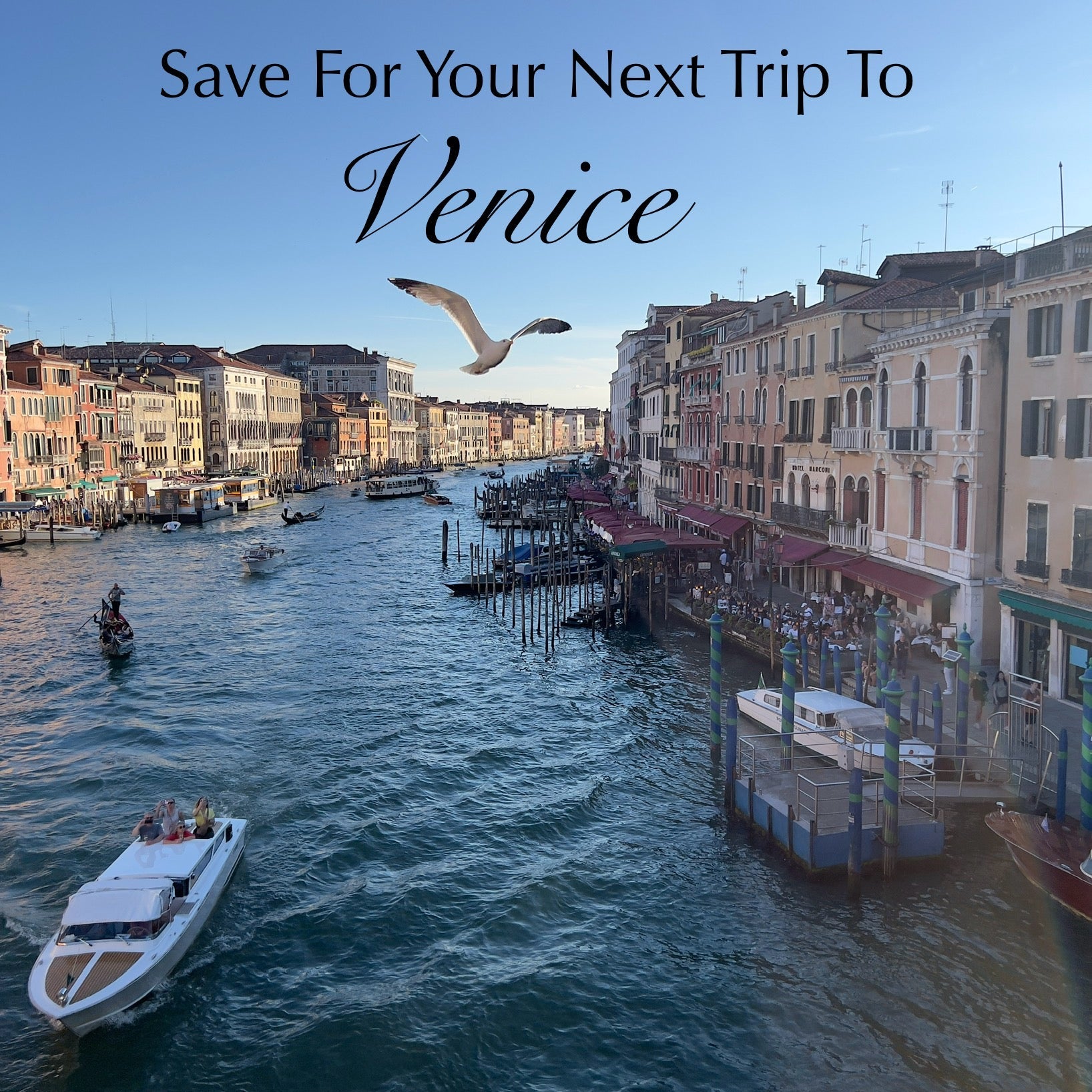 View from Rialto bridge in Venice showing seagull in flight with type over saying guide to Venice 