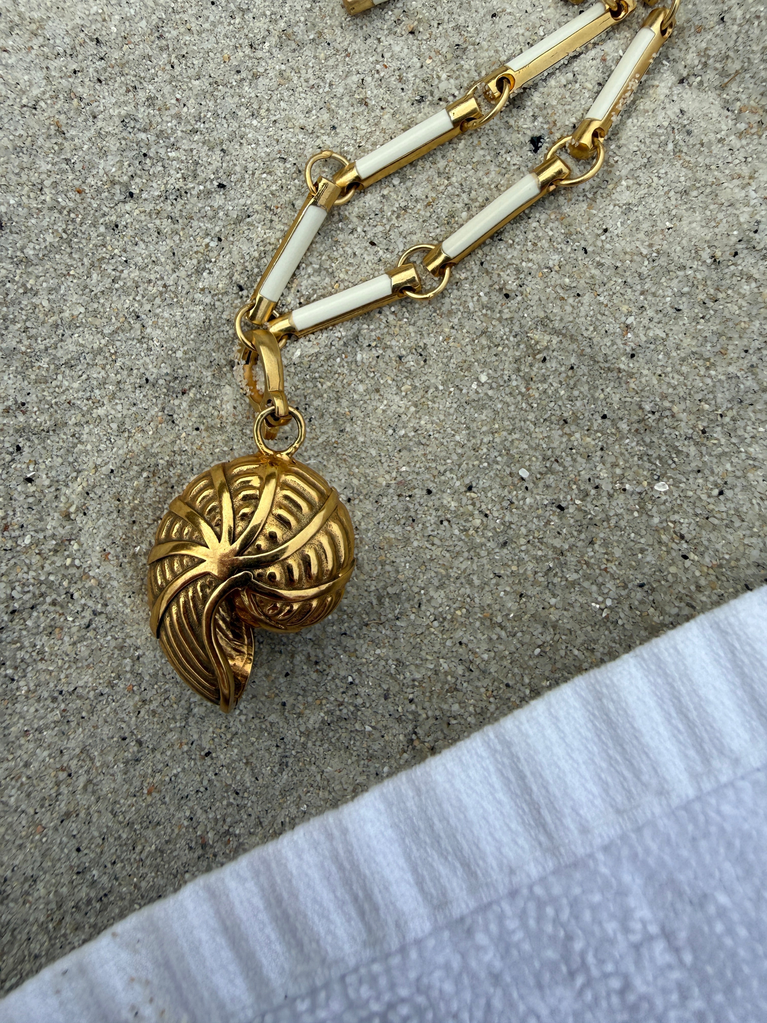 the shell nautilo charm on sand 