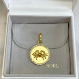 AUTUMN 26 SAMPLE SALE Zodiac Cancer Charm 242