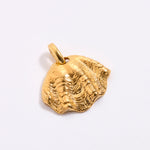 Gold coloured shell pendant on a white background