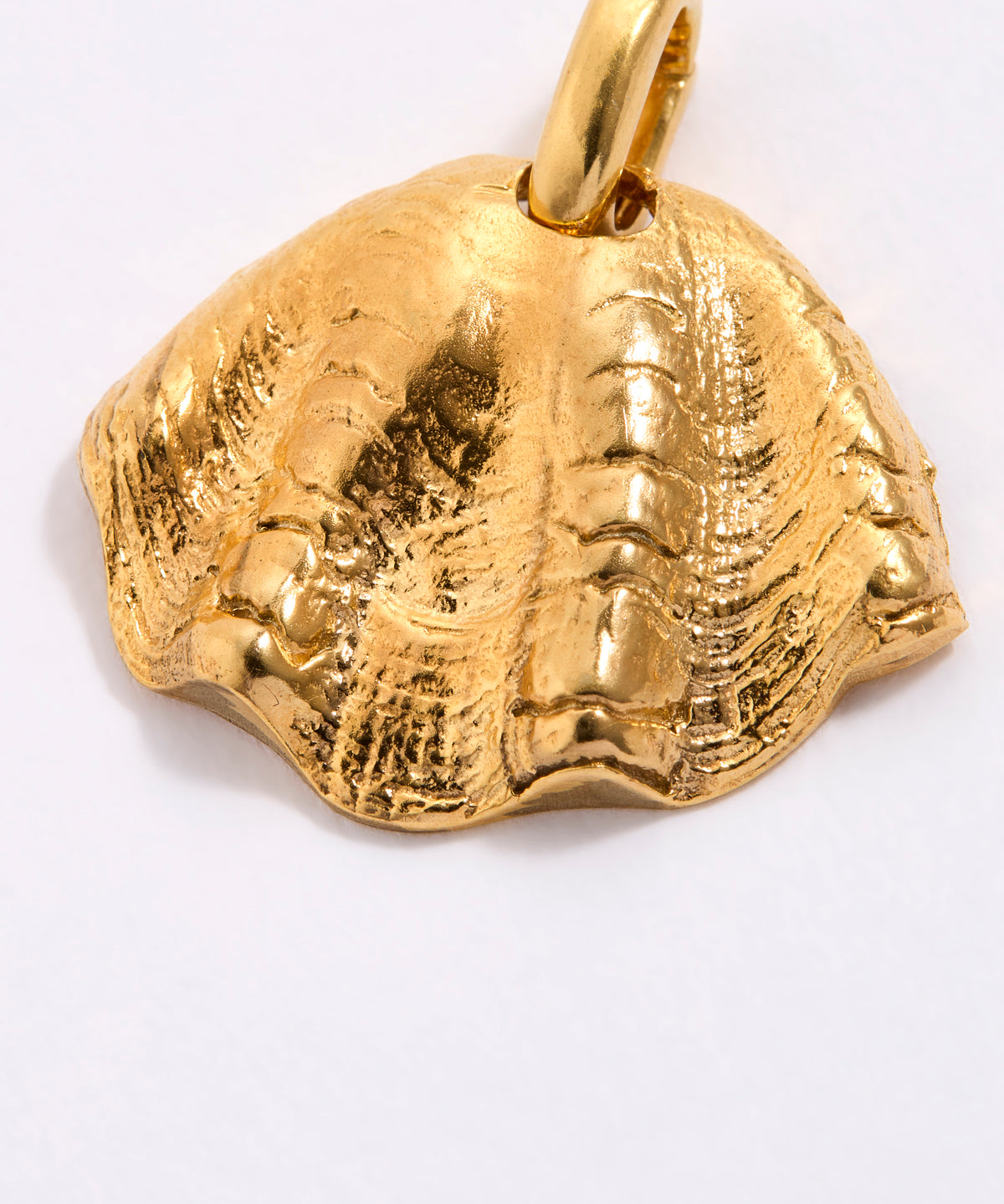 Gold coloured shell pendant with a textured surface on a white background