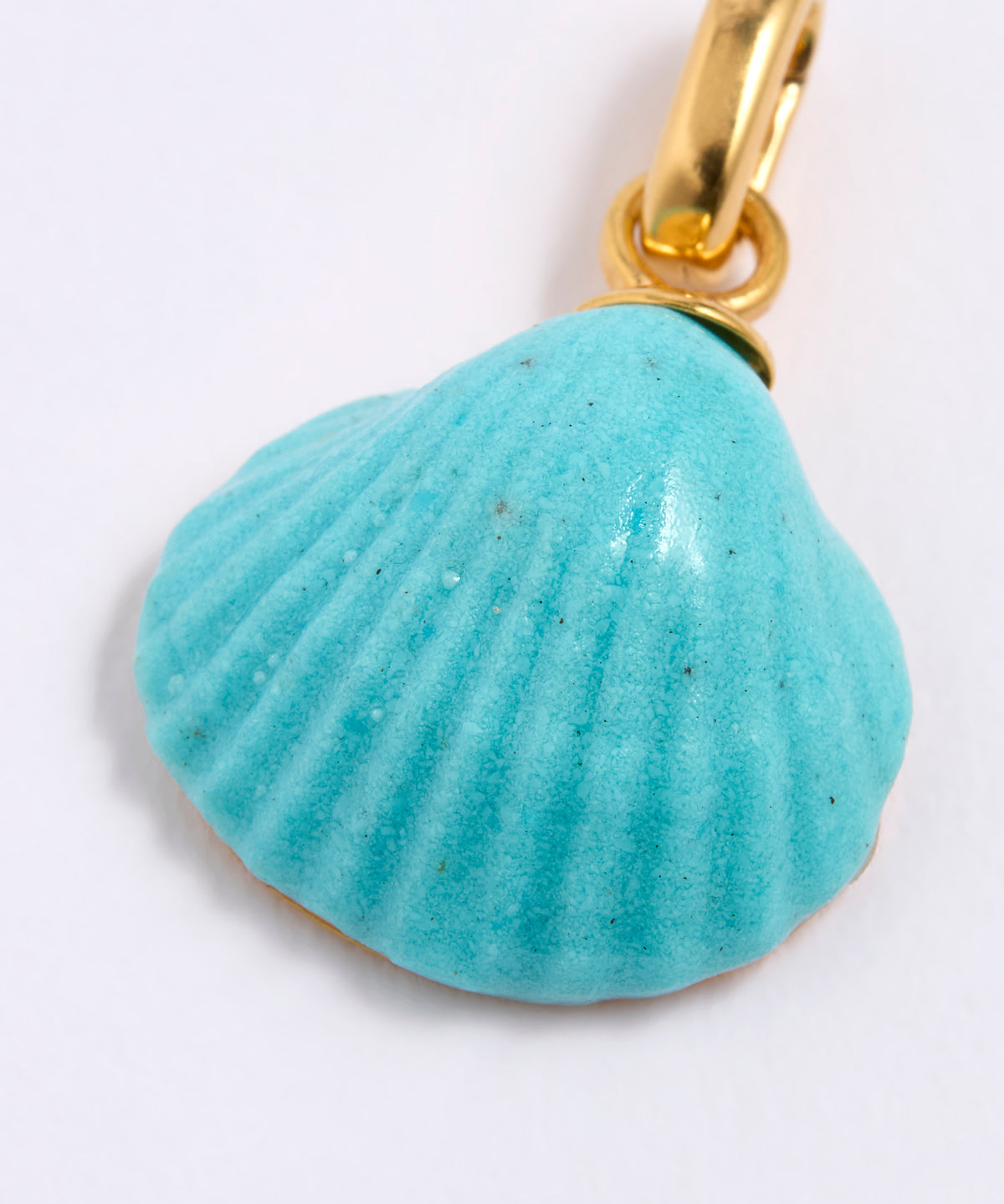 Turquoise shell pendant with gold chain on a white background