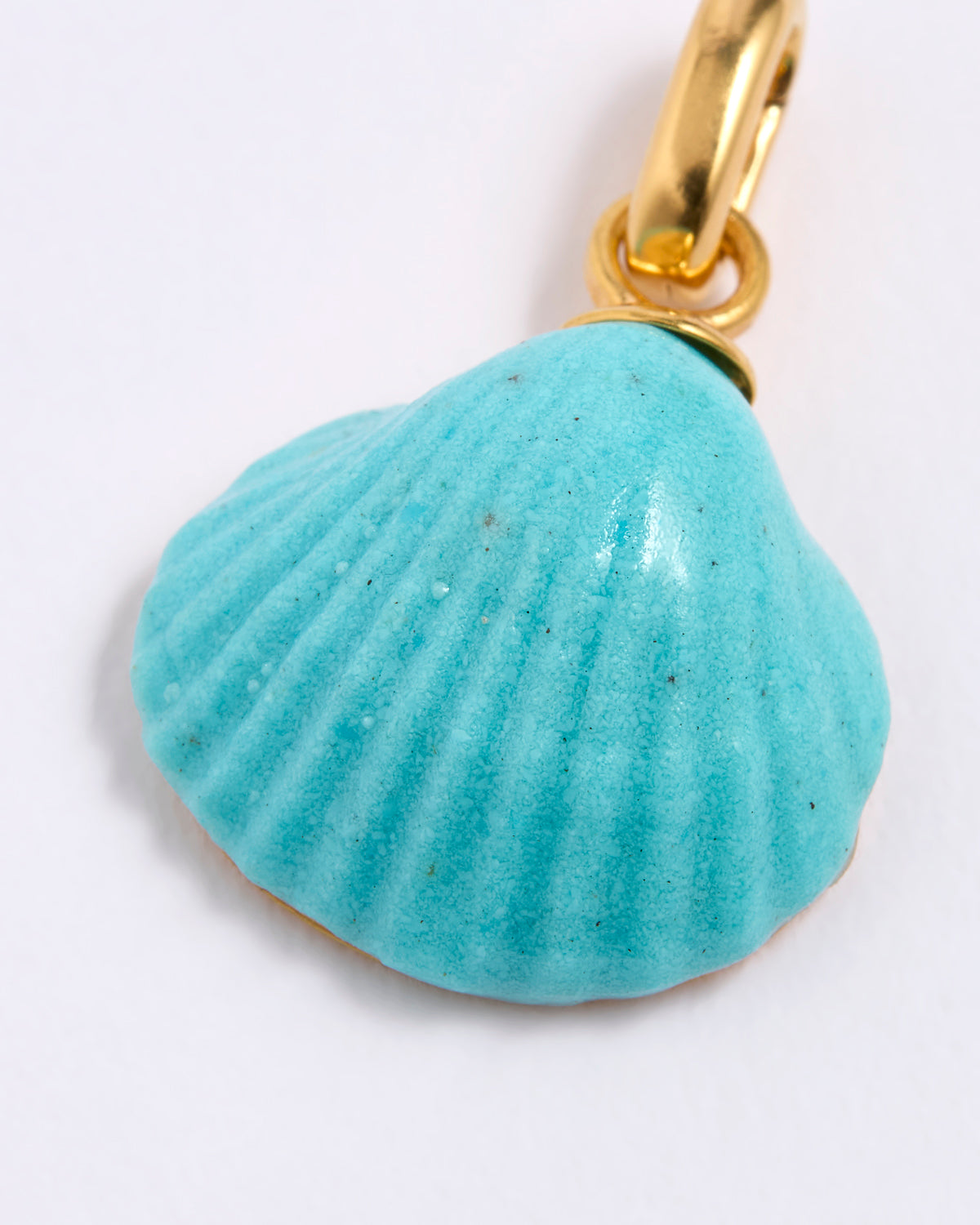 Turquoise shell pendant with gold chain on a white background