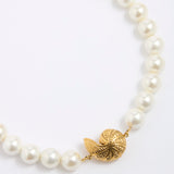 Pearl necklace with a gold coloured shell shaped pendant on a white background
