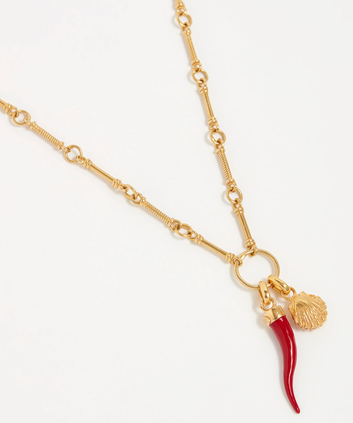 Image of a red coral Cornicello  horn shaped charm with gold top connector and a shell charm both hung from a gold bar necklace