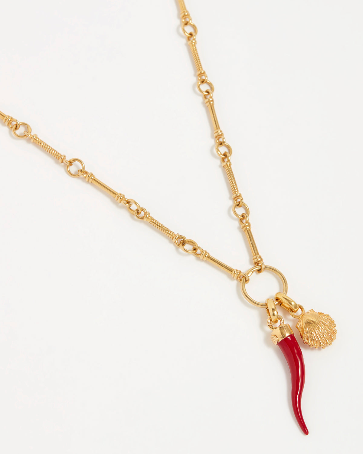 Image of a red coral Cornicello  horn shaped charm with gold top connector and a shell charm both hung from a gold bar necklace
