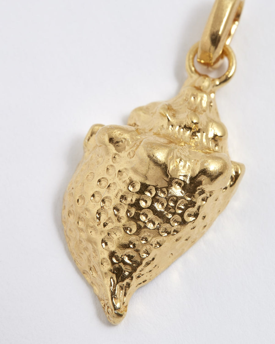 soru gold shell conch charm, charm to be attached to soru charm chain necklace